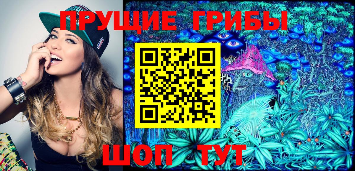 Псилоцибиновые грибы Psilocybine cubensis  Псилоцибиновые грибы MAGIC MUSHROOMS  Вход с VPN  Кимовск 