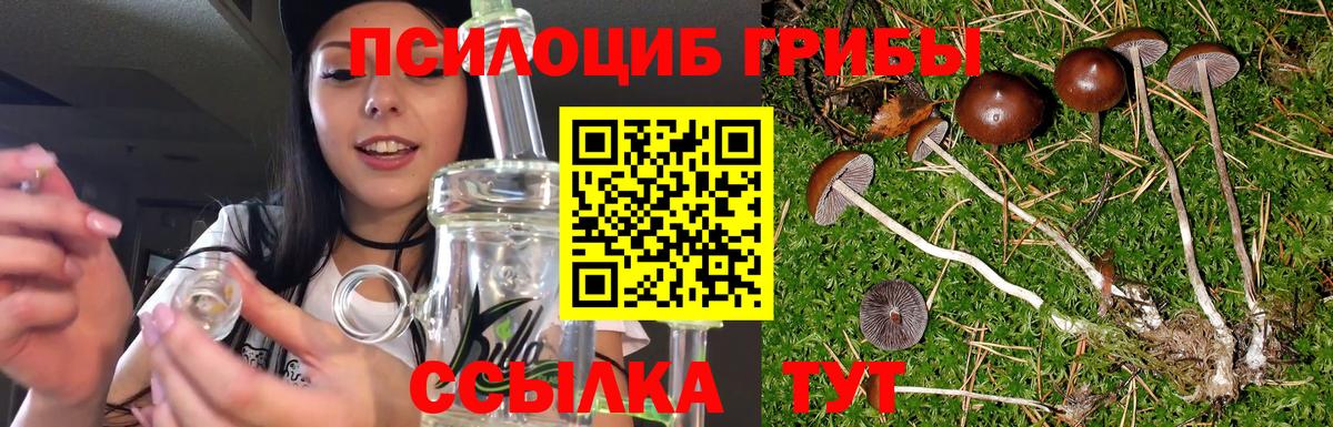 Галлюциногенные грибы Cubensis Кимовск